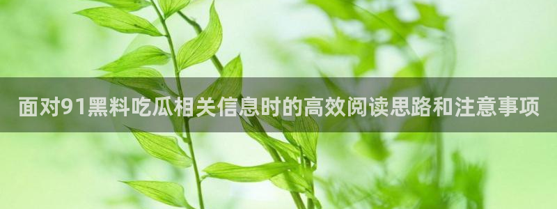 51吃瓜信息大全