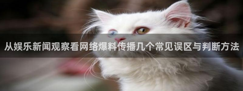 51吃瓜网页最新地址