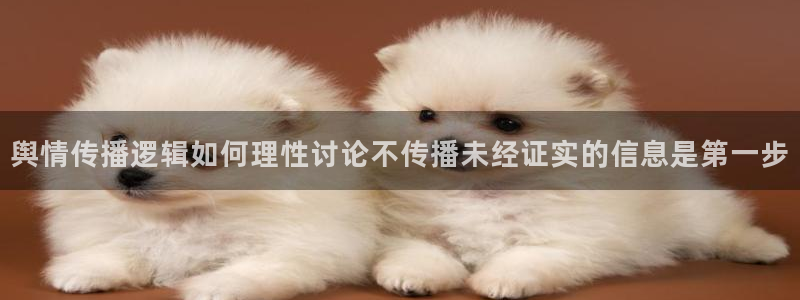 吃瓜网站大全